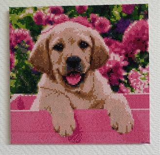 15 Липницкий Дмитрий